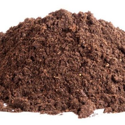 Echantillon Norvégien