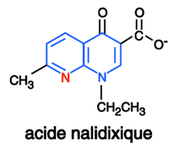 Acide nalidixique