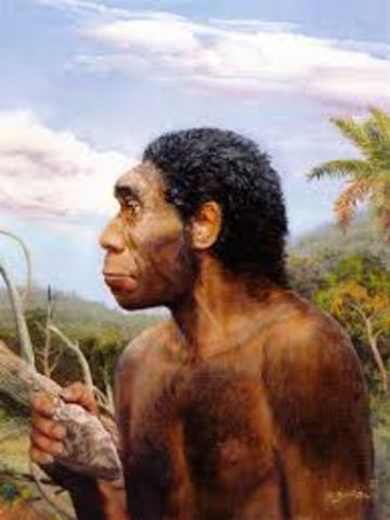 1.000.000 m.a Homo Erectus