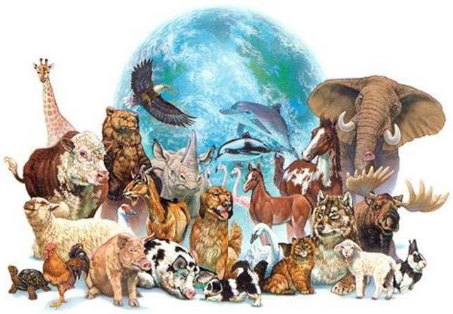 VIII Congreso Internacional de Zoología Basilea