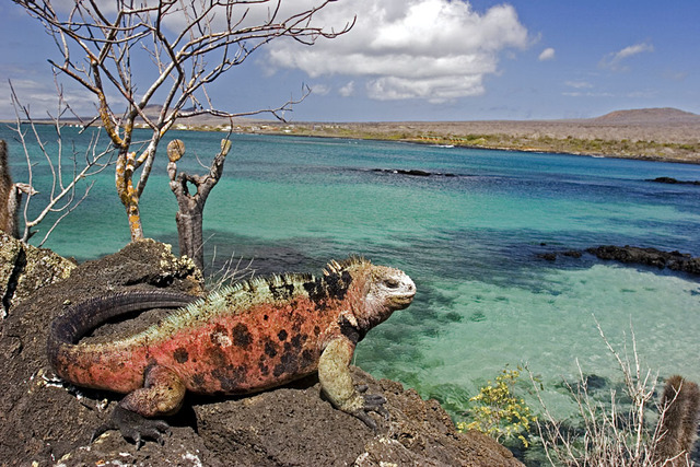 Galapagos Islands