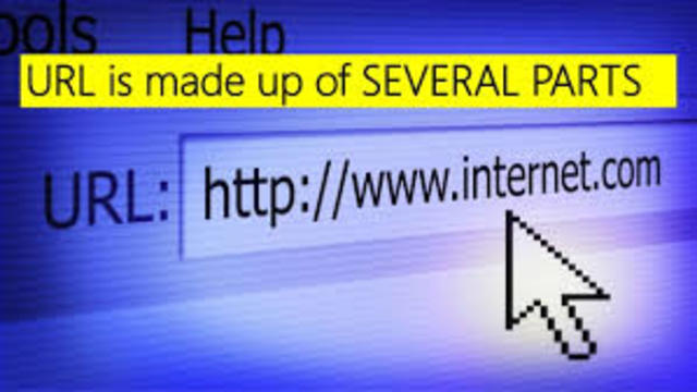 Uniform Resource Locator (URL)