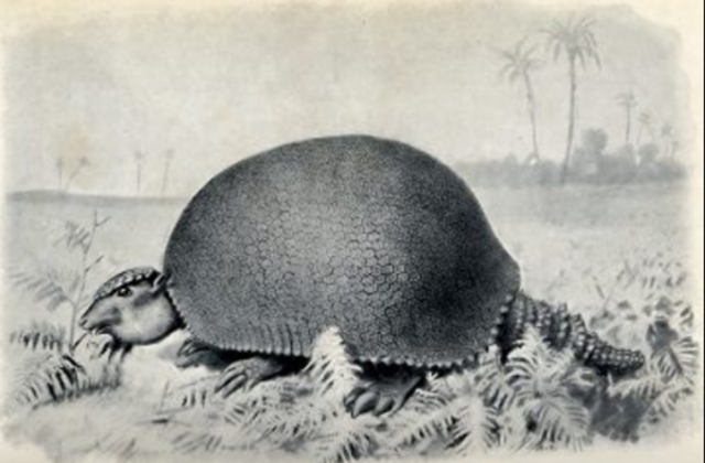 September-October: Galapagos Islands