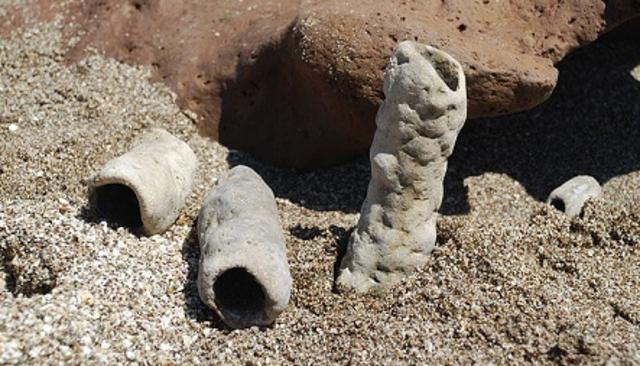 September: Punta Alta, Argentina