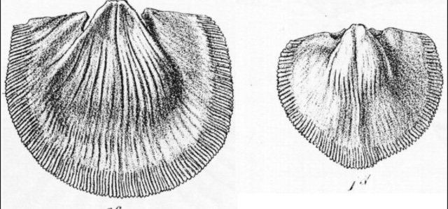 March: Falkland Islands