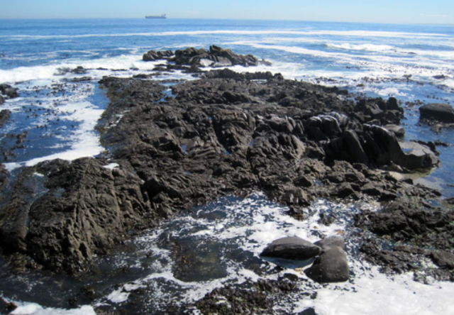 June: Cape Town, South Africa