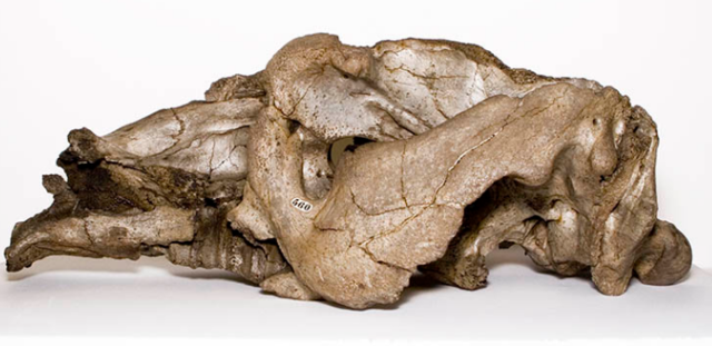 August: Bahia and Pernambuco, South America