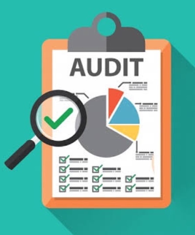 La Auditoría adquiere una relevancia singular