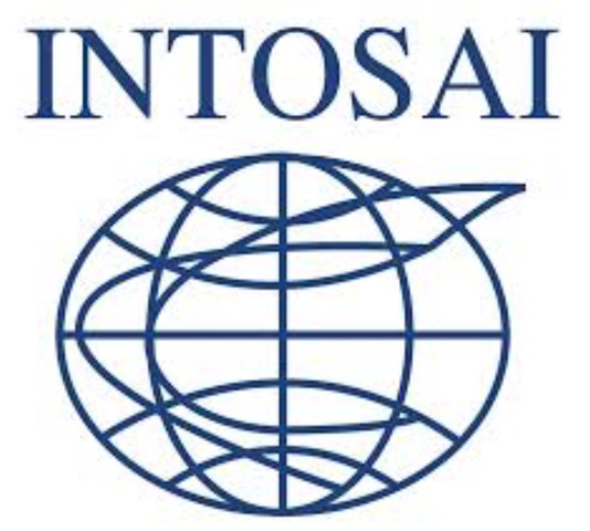 Surge la INTOSAI