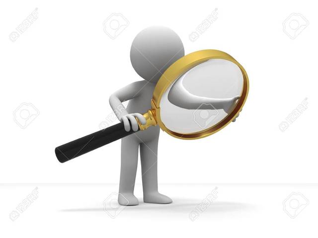 Los niños investigan