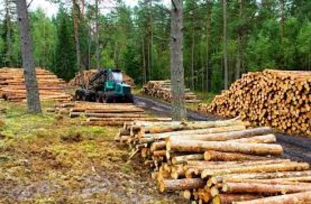 Explotación de recursos naturales (Juan Manuel Santos)