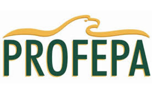 Creación de PROFEPA
