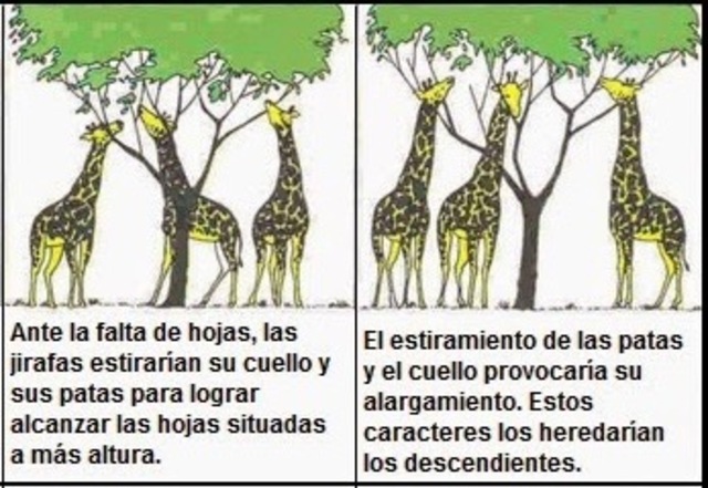 Lamarck: Clasificación Seres Vivos