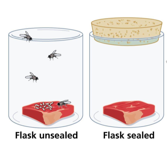 Lamark: Generación Espontánea