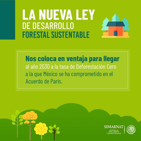 Creación de la ley general de desarrollo forestal sustentable