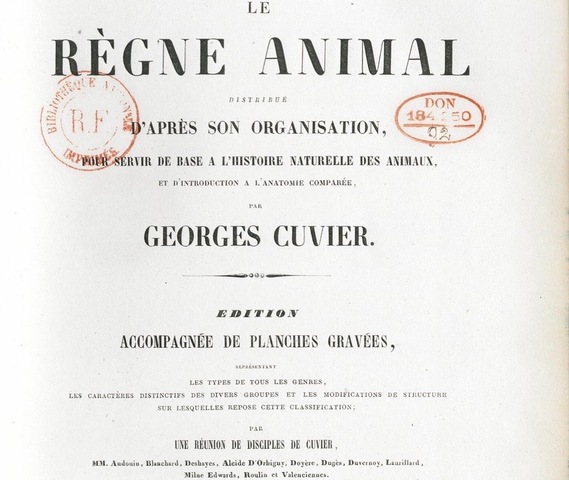 Cuvier: Le Règne Animal