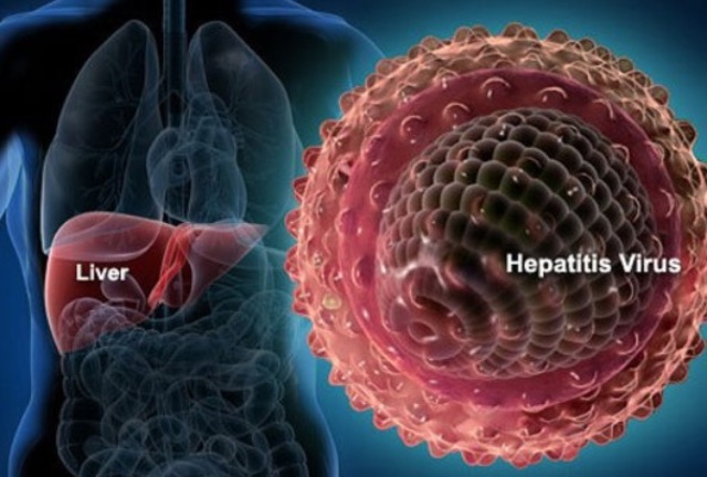 Se crea la vacuna contra la hepatitis B