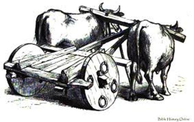 Carretas de mascotas