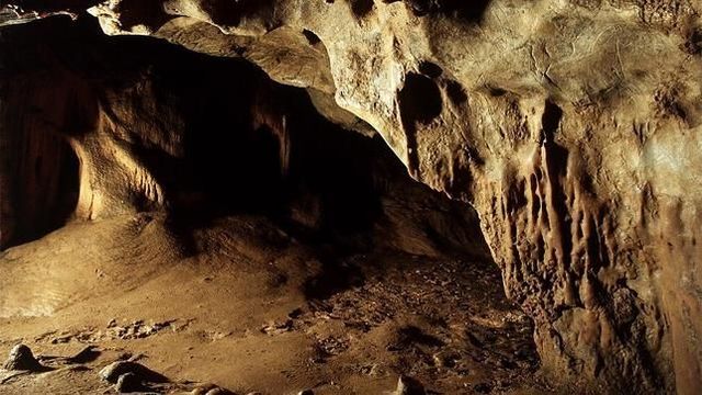 antecedentes de la logistica timeline | Timetoast timelines