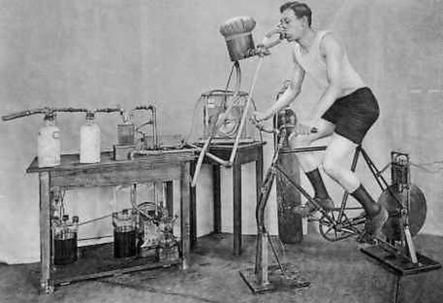 Introduced the Human Calorimeter