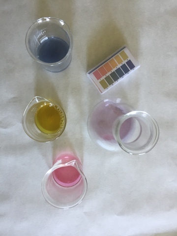 LAB: FABRICACIÓN DE INDICADOR PARA MEDIDA DE PH