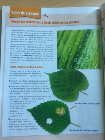 LAB: PRÁCTICA LLUVIA ÁCIDA