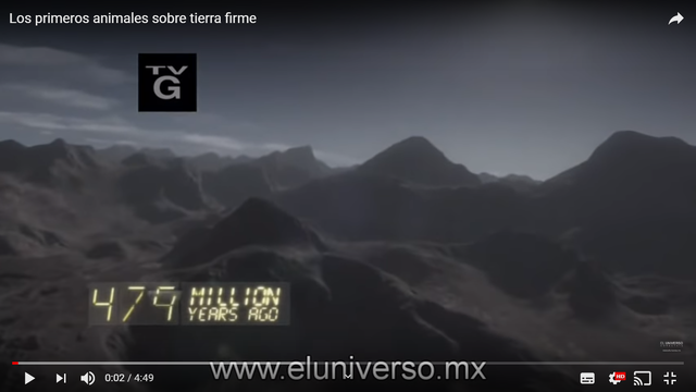 VIDEO Primeros Animales sobre tierra firme