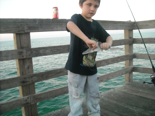 first shark i caught fishing on the pier