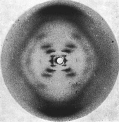 Rosalind Franklin & Maurice Wilkins