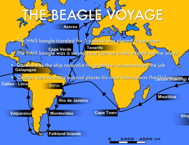 The creatures of the Galapagos Islands