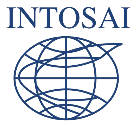 Surge la INTOSAI