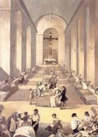 YVER TATICH Y RENOCCI-LOSE