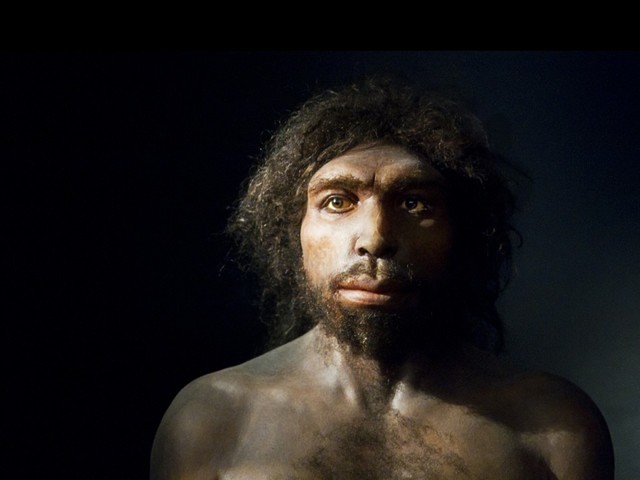 Homo antecessor