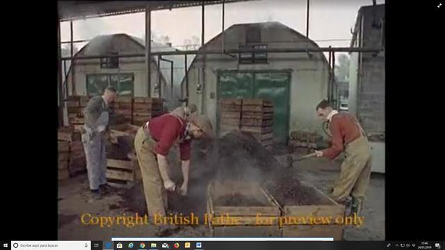 Mushroom Growing 1936