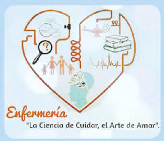 Se  integra la investigación de la Enfermería en todos los programas colegiados