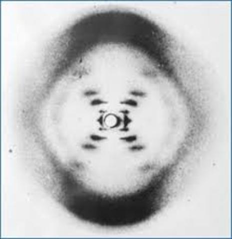 Rosalind Franklin and Maurice Wilkins