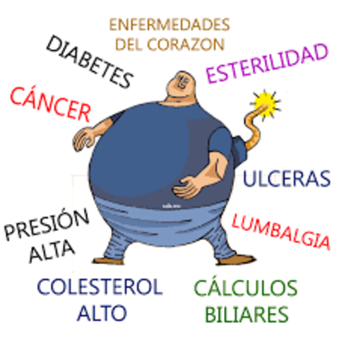 Países con mayor indice de obesidad