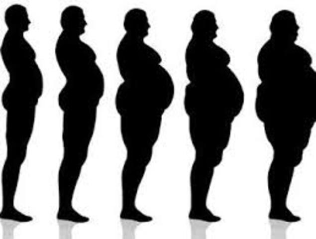 Transición alimentaria