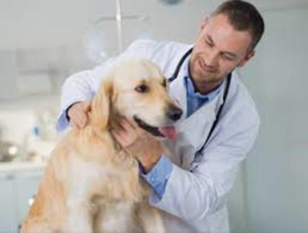 Entro a la Facultat de Medicina!