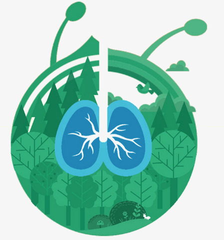 Salud y Medio Ambiente