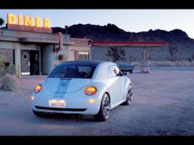 Beetle 2005