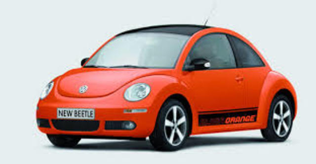 Beetle 2010