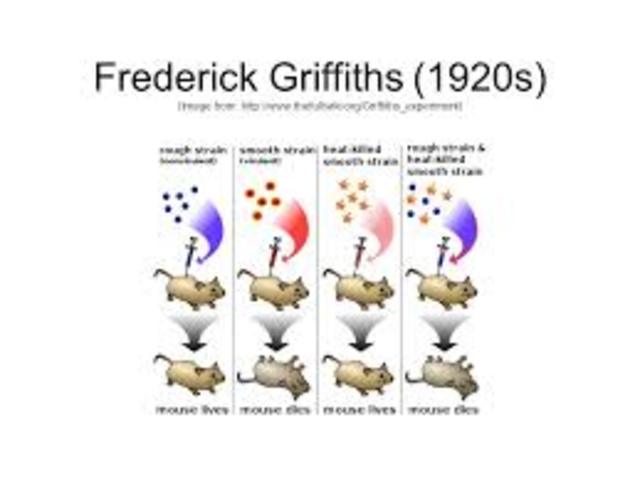 Fredrick Griffith