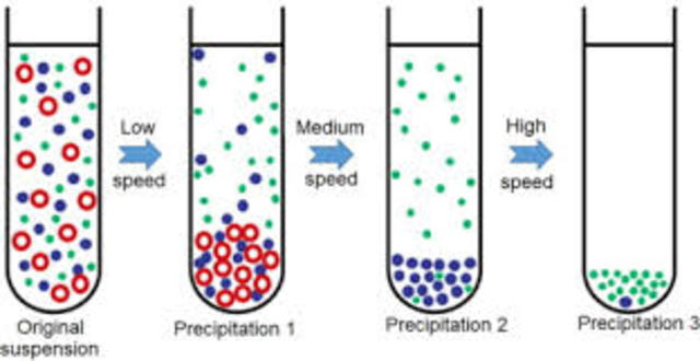 Matthew Meselson & Franklin Stahl