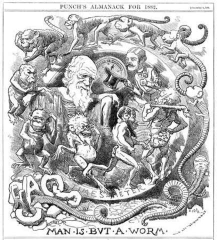 The Formation of Vegetable Mould, Through the Action of Worms