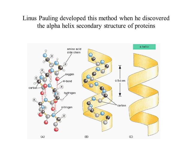 Linus Pauling Continued