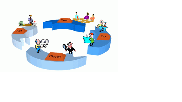 desarrolla sistemas de control de costos y de calidad.