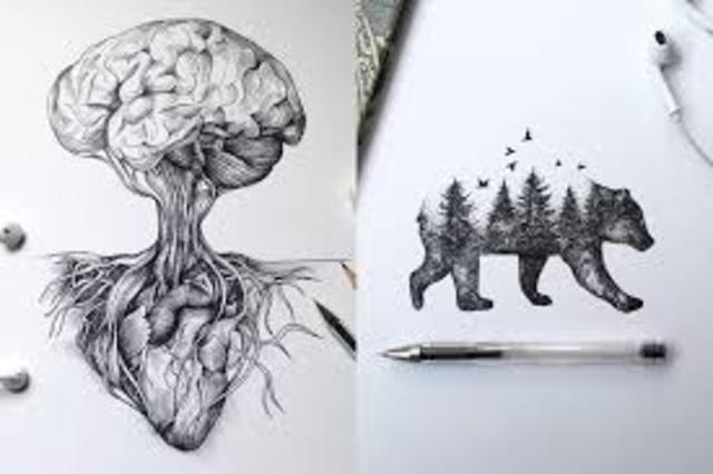 naturaleza a cultura