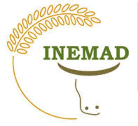 INEMAD