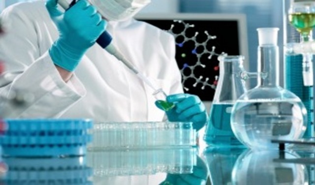 Acciones académicas